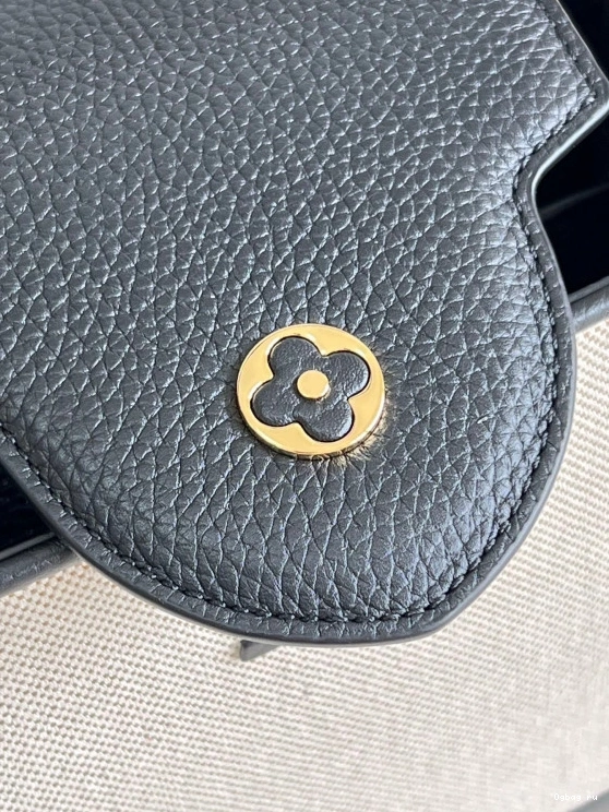 BB VUITTON CAPUCINES LOUIS 0817